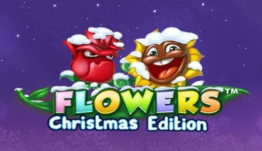 FlowersChristmasNET